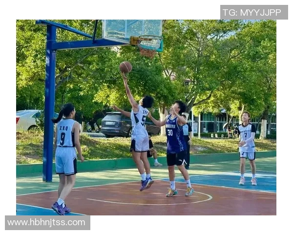明光篮球明星阵容揭秘：他们如何在赛场上创造辉煌成就